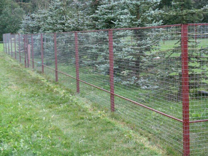 Сетка заборная оптом